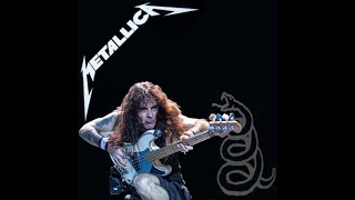 Nothing Else Matters bass cover but I pretend to be Steve Harris