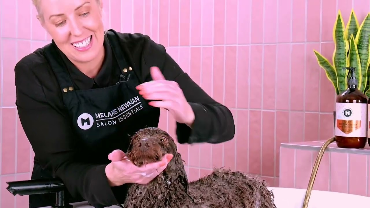 Melanie Newman Salon Essentials | Relax Dog Conditioner – Melanie