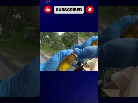 Escape Attempt Fails Instantly — Florida Police Take Control Fast! #police #crime #cops #viralvideo