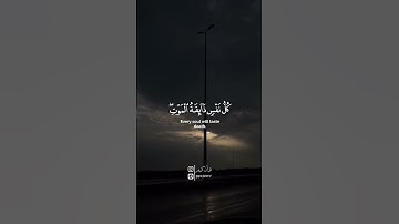 الشيخ ياسر الدوسري سورة العنكبوت #قرآن_كريم #qurantilawat #qurantranslation