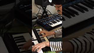 PCM Sound Module VSTi (Calliope shorts 001)