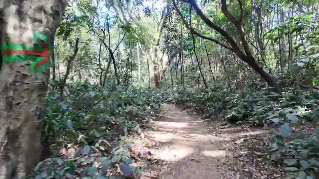 Some hidden Pathways of IISc | Jan 2026