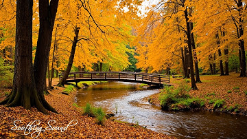 Beautiful Relaxing Music 🍁 Stop Overthinking, Stress Relief Music With Autumn Melodie
