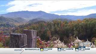 Celebrity People flock to Great Smoky Mountains National Park for fall colors Profile