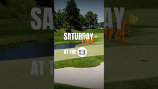 Saturday Card at The Memorial | Today’s Best Bets
