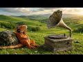 Kız Bahçene Ben Giremedim-Haim Efendi/Nostaljik Taş Plak Kayıtları