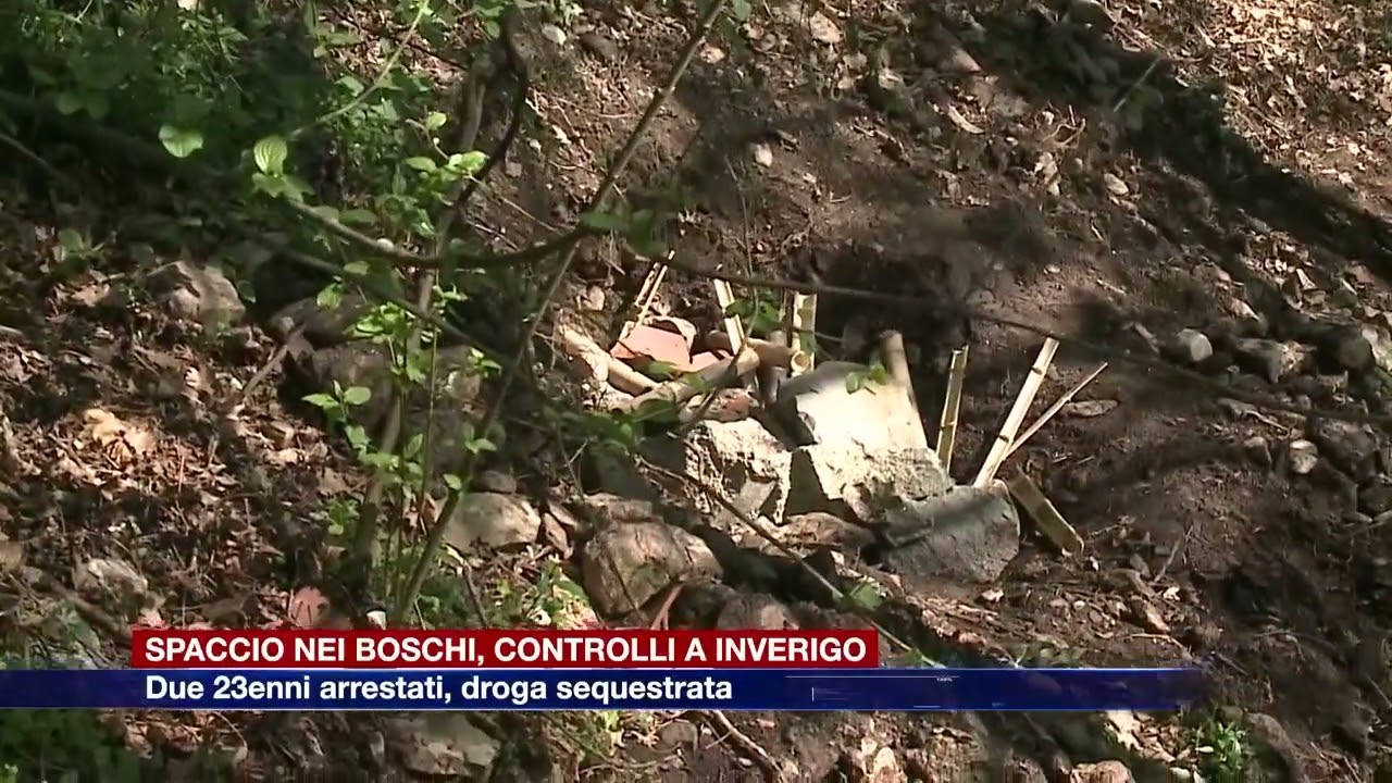 Etg - Spaccio nei boschi, controlli a Inverigo. Due 23enni arrestati, droga sequestrata