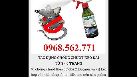 Thuốc Đuổi Chuột Thái Lan - Xịt 1 lần 6 tháng Chuột không bén mảng - Chi phí cực rẻ