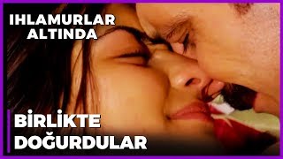 Filiz Doğum Yaptı, Durumu Kritik Ihlamurlar Altında 77. Bölüm