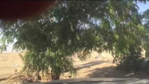 دحيم الحماد تلاوة سورتي الشمس والليل ١٤١٤هـ