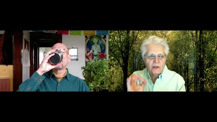 Healing Climate Trauma: Beyond Climate Change Towa...