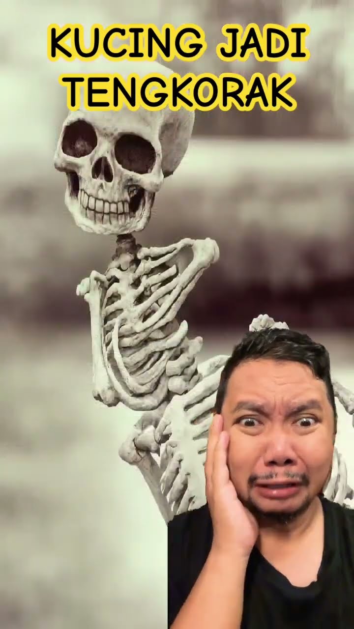 KUCING LUCU JADI TENGKORAK!!!?? #shortsfeed #funny #hallowen #comedy #halloween