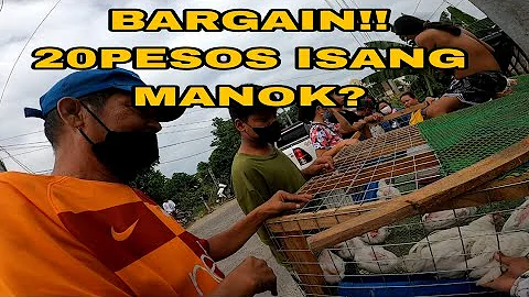 BENTE ISANG MANOK? | DINALA KO NA SI GOLDY SA JAEN...