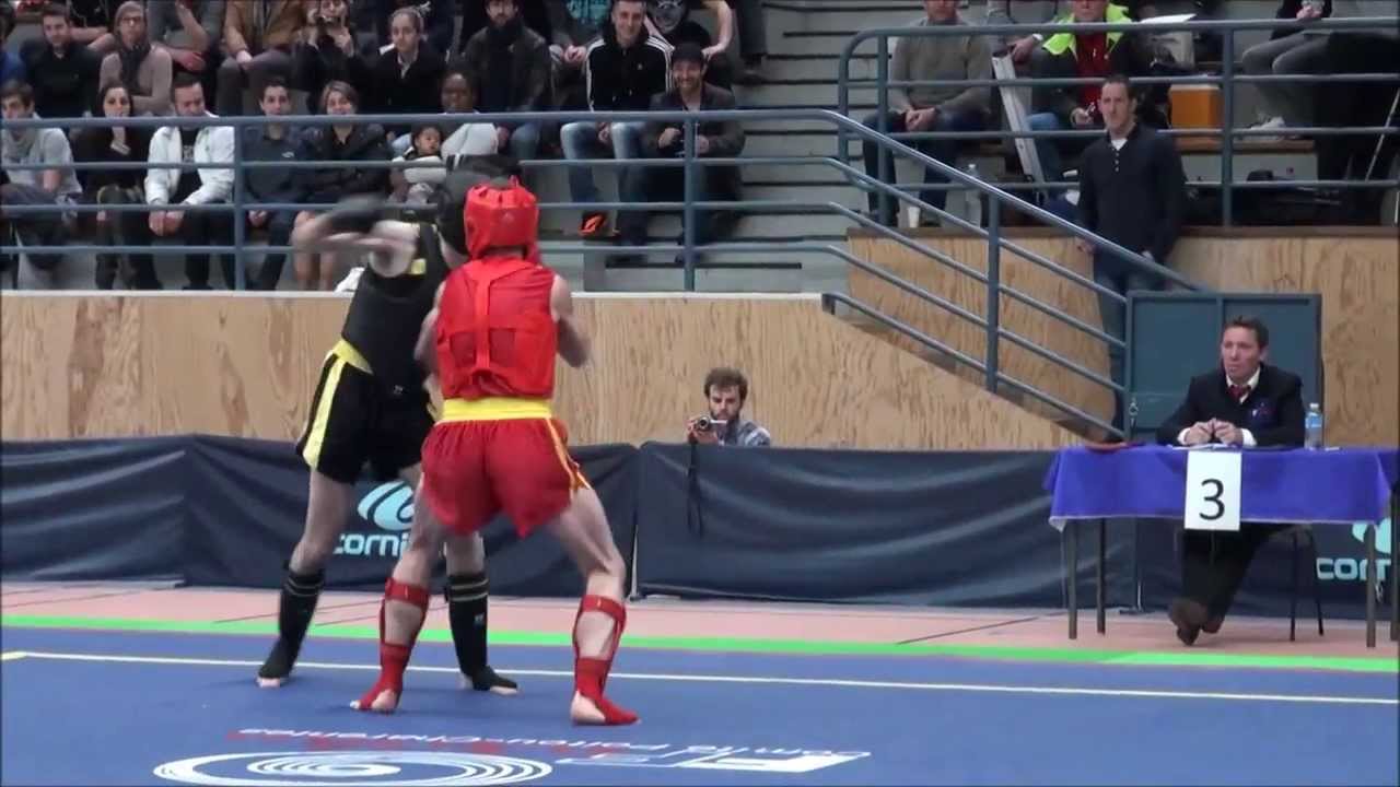 Championnats inter-regions wushu taolu/sanda 2014