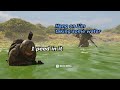 I Reached My Breaking Point - Ghost Recon Breakpoint