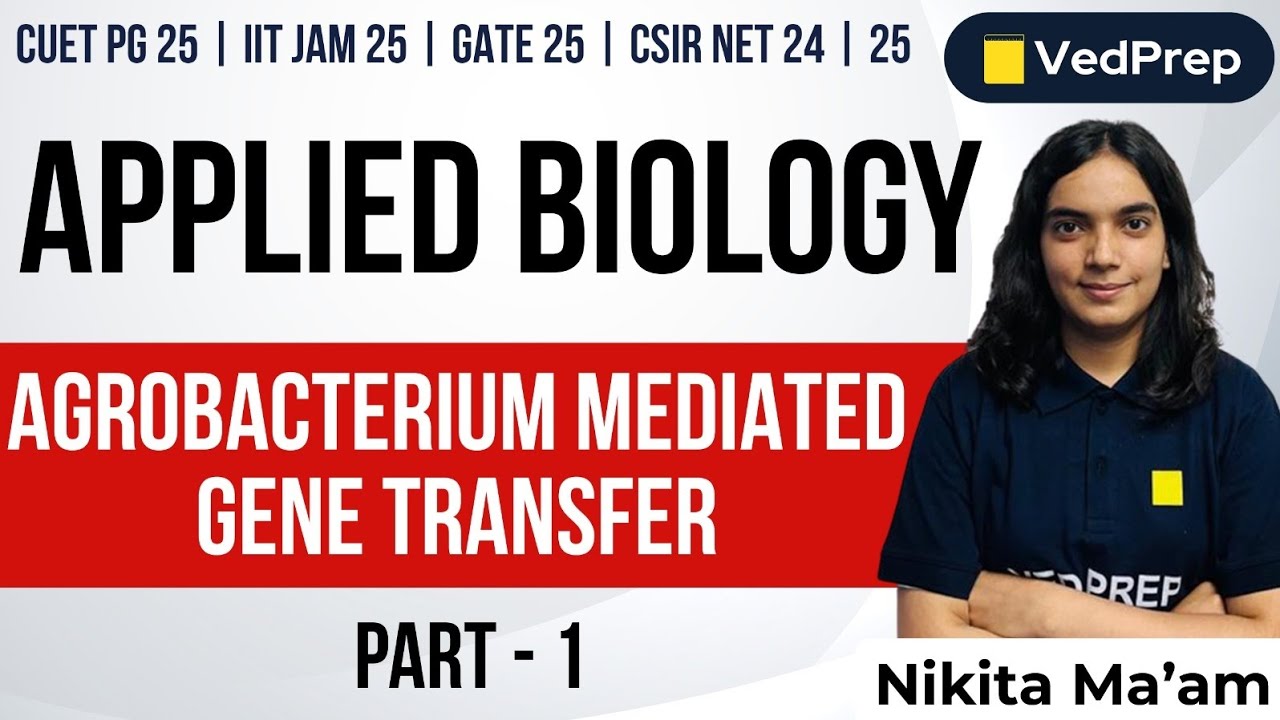 Agrobacterium Mediated Gene Transfer Part-1| Applied Biology | CUET PG | IIT JAM | GATE | CSIR NET