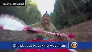 Man Kayake's Down Storm Drain Dressed As Chewbacca
