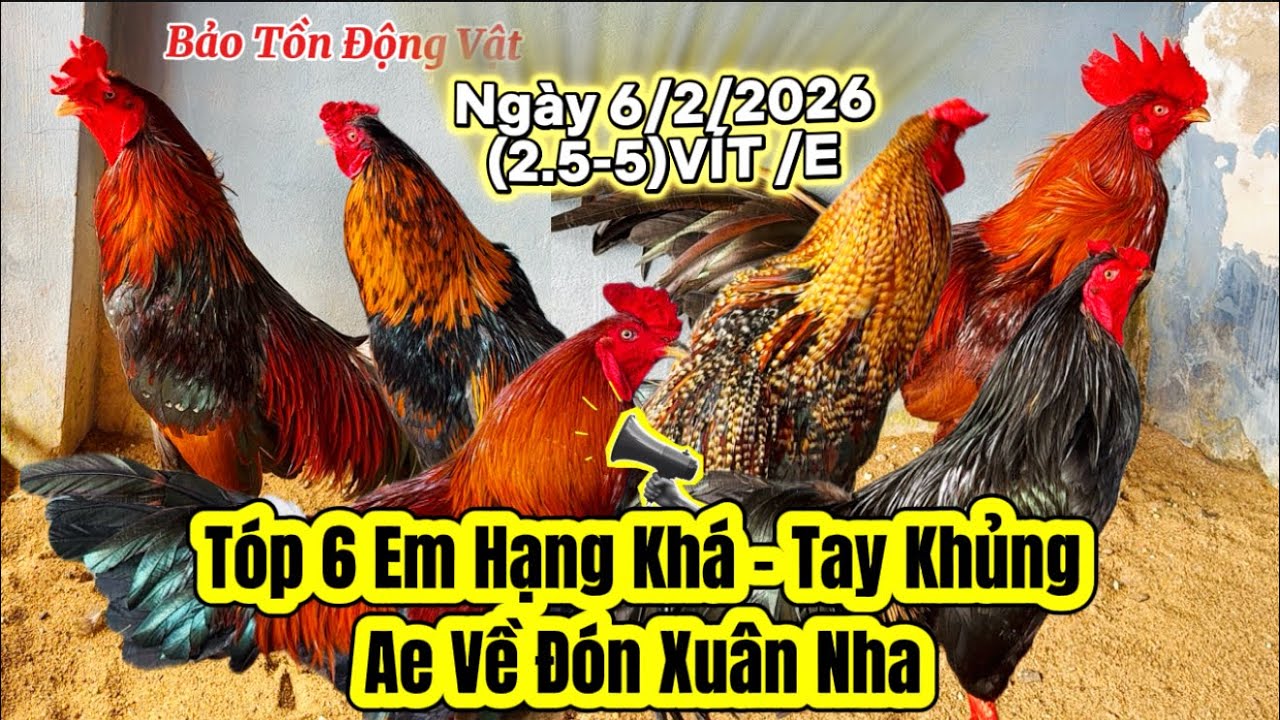 TỐP 6 EM TAY KHỦNG - AE ĐÓN XUÂN NHA || Ngày 6/2/2026 - BẢO TỒN ĐỘNG VẬT 0788.799.444