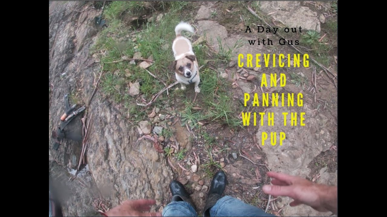 Gold Panning in a Local creek in Melbourne YouTube
