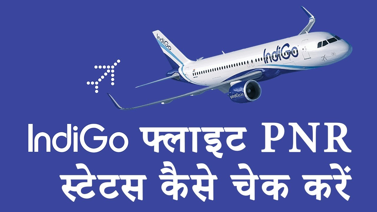 How to Check Indigo Flight PNR Status Online 🛩 Nemtech