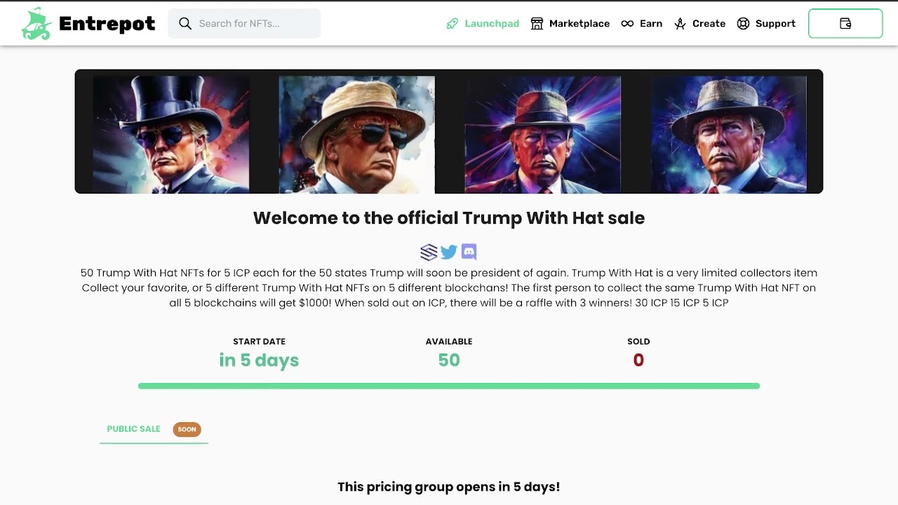 Navigating Entrepot Marketplace on ICP!