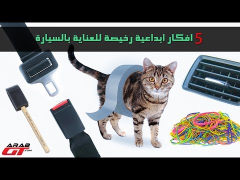 5 افكار ابداعية بسيطة ورخيصة للعناية بالسيارة