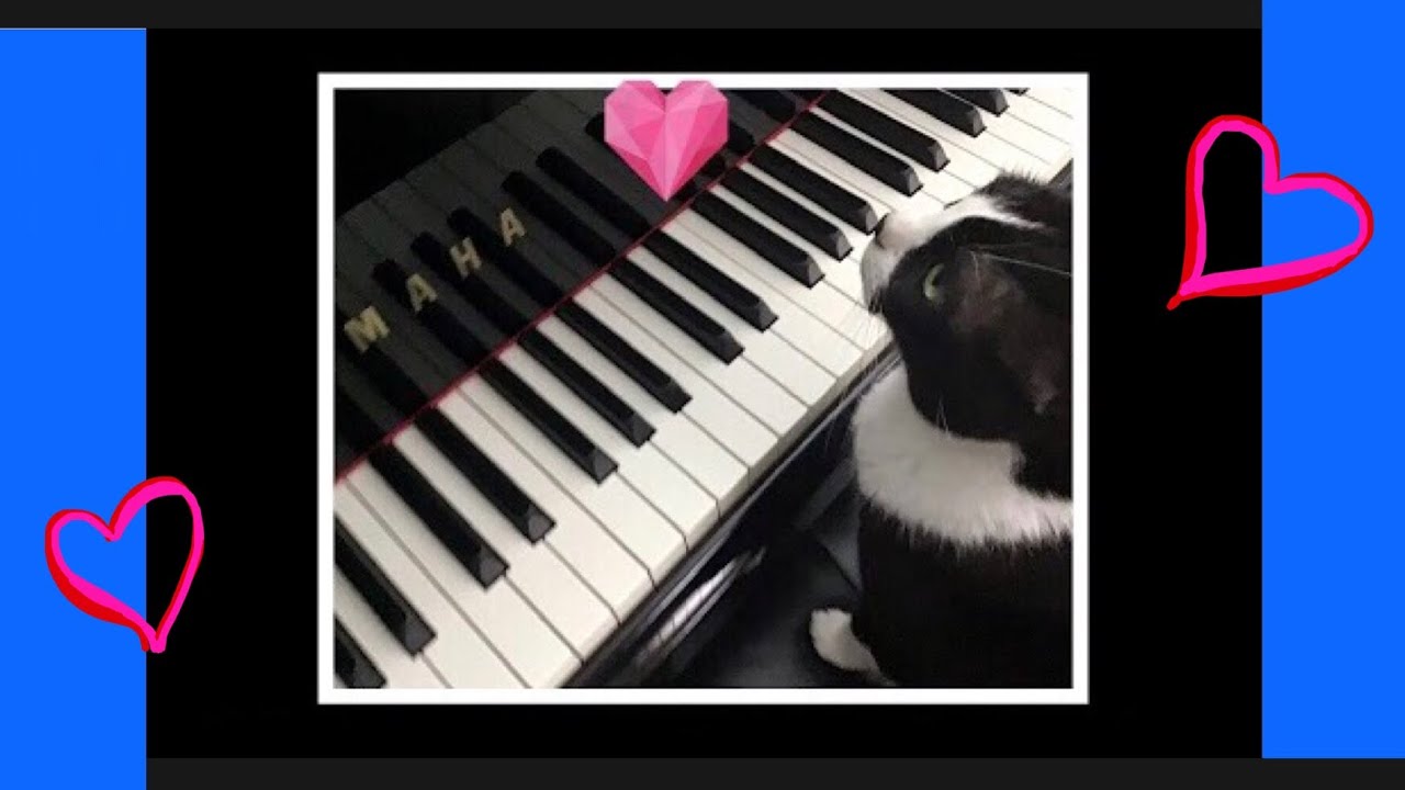 ️ SAYING SOMETHING STUPID LIKE I LOVE YOU* SOMETHING STUPID PIANO