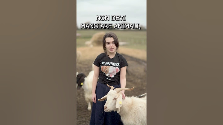 NON DEVI MANGIARE ANIMALI 😂 #springonyoutube