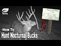 5 Nocturnal Buck Hunting Tips