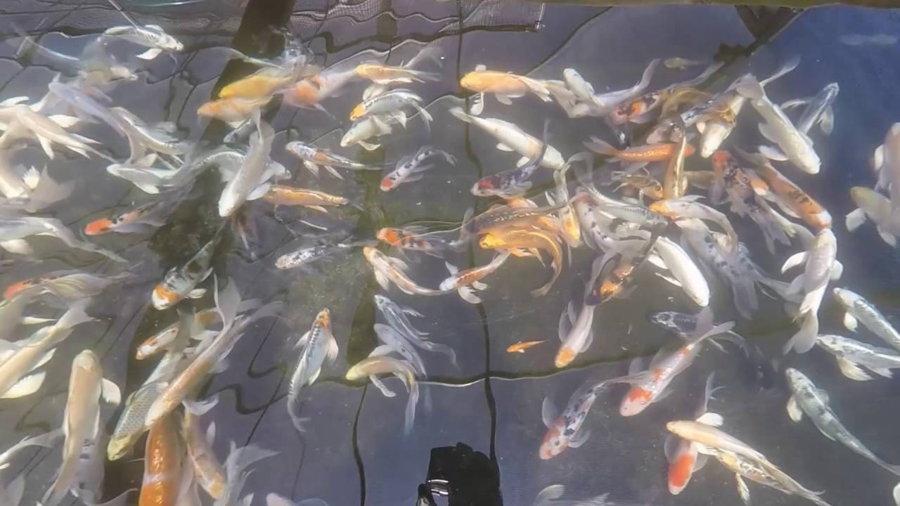 8-12