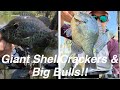 A Day!!! Kayak 100%! #chinquapin #bullbream #somanyfish! #cheeseburgers
