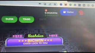 Bc Game Hashdice Premium Script Live Bitcoin Profit