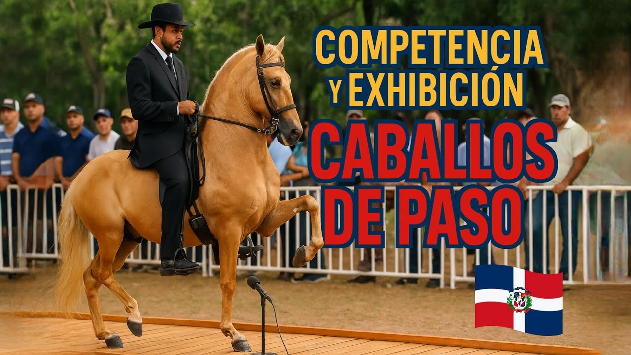 Paso Fino and Higüeyano Horse Competition and Exhibition | Dominican Republic | El Seibo