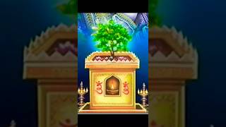 Download Lagu तुलसी जी के कब दीप नही जलाना चाहिए MP3