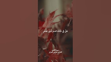 سورة الفجر الآية من 1 إلى 6 🤎 وليال عشر والشفع والوتر #quran #المصحف #قرآن #راحة_نفسية #قران_كريم