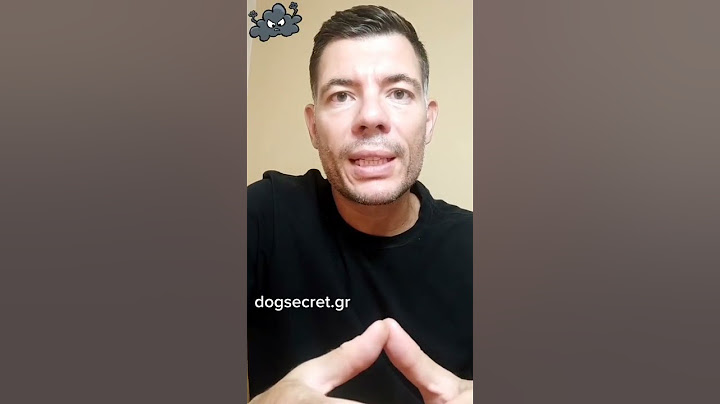 Ο σκύλος μου φοβάται τις βροντές!⛈
