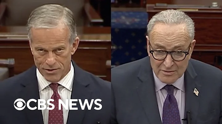 Thune and Schumer speak about government shutdown on Day 20