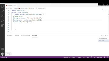 How to Fix Visual Studio Settings Not Showing Output in Terminal || Java || C++