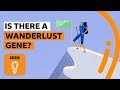 Understanding Wanderlust and Its Influences