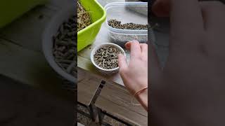 Hamiform Optima Bio Repas Complet Jeune Lapin Et Lapin Toy - Zoomalia