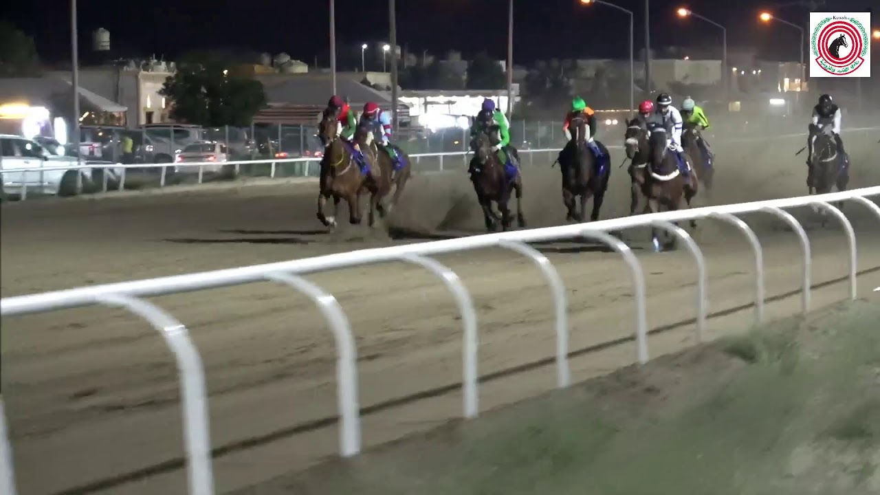 بث مباشر - مضمار الشيخ صباح الناصر الصباح - الأجتماع العشرون -  لموسم 2024-2025