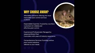 Why Choose Aman Pest Control: Experienced Bristol Pest Controller You Can Trust!