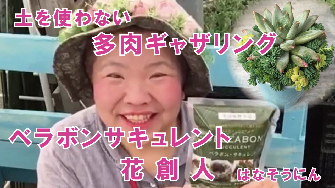 ベラボンサキュレント で簡単きれいな多肉植物のギャザリング寄せ植えの作り方 Youtube