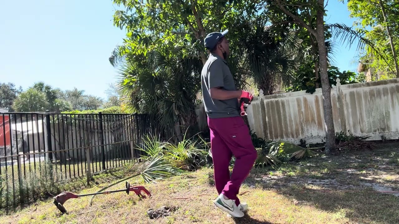 Transforming our yard. 