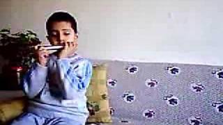 harmonica mızıka can mete
