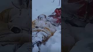 Download Lagu Pemandangan Gunung Everest 🥶 #tidurlelap #momenterdingin #gunungeverest #petualangan#perjalanan MP3