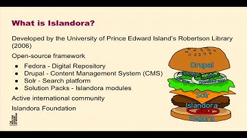 SciVizNYC 2018 Presentation: Robin Naughton