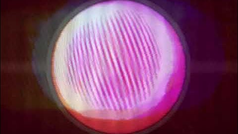 Dean Rodell /// Ecdysis 2024 /// MCR2008 /// New Life E.P