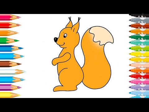 КАК НАРИСОВАТЬ БЕЛКУ для детей за 1 минуту | Раскраска белка! How to Draw a Squirrel For Kids Easy