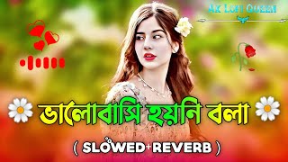 ভালোবাসি হয়নি বলা | Bhalobashi Hoyni Bola (Slowed Reverb) New Lofi Version | Bangla Lofi Song 2025